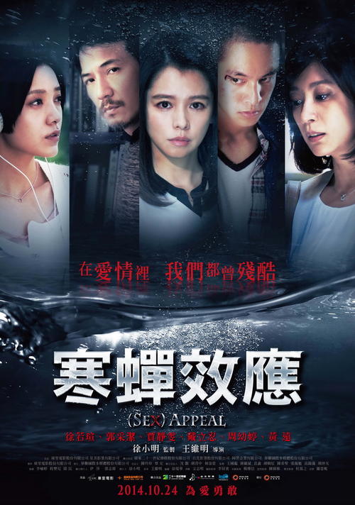 中央学院设计学位证